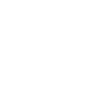 Wavesky Agency